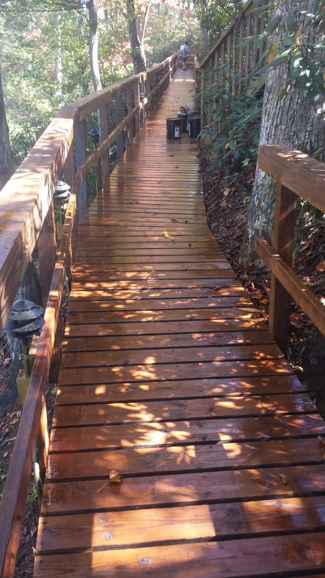 Freshly stained wood walkway winding through the woods in Emmett